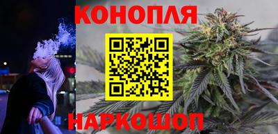 прущие грибы Краснокаменск