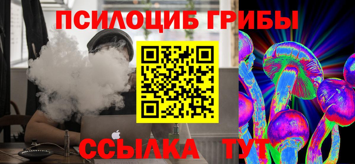 Псилоцибиновые грибы прущие грибы  Вход с VPN  Армавир  Галлюциногенные грибы Psilocybine cubensis 